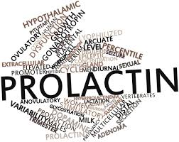 Prolactina