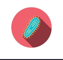 Infecções bacterianas